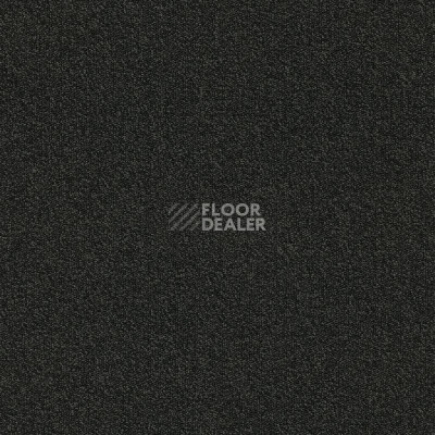 Ковровая плитка Modulyss Millennium Nxtgen Millennium Nxtgen 965 фото 1 | FLOORDEALER